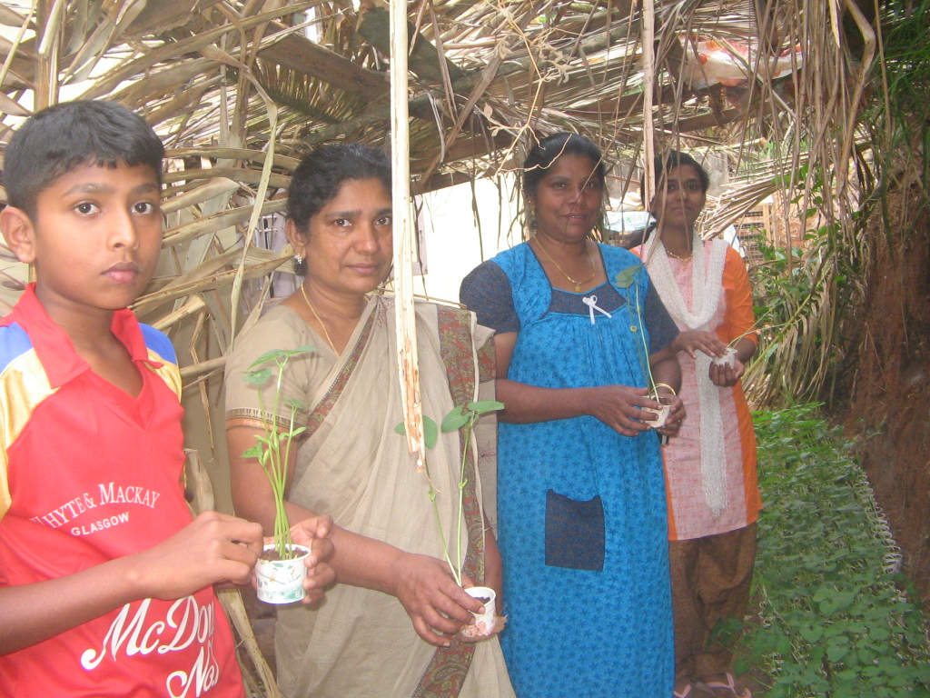 Community members are eager to plant seedlings